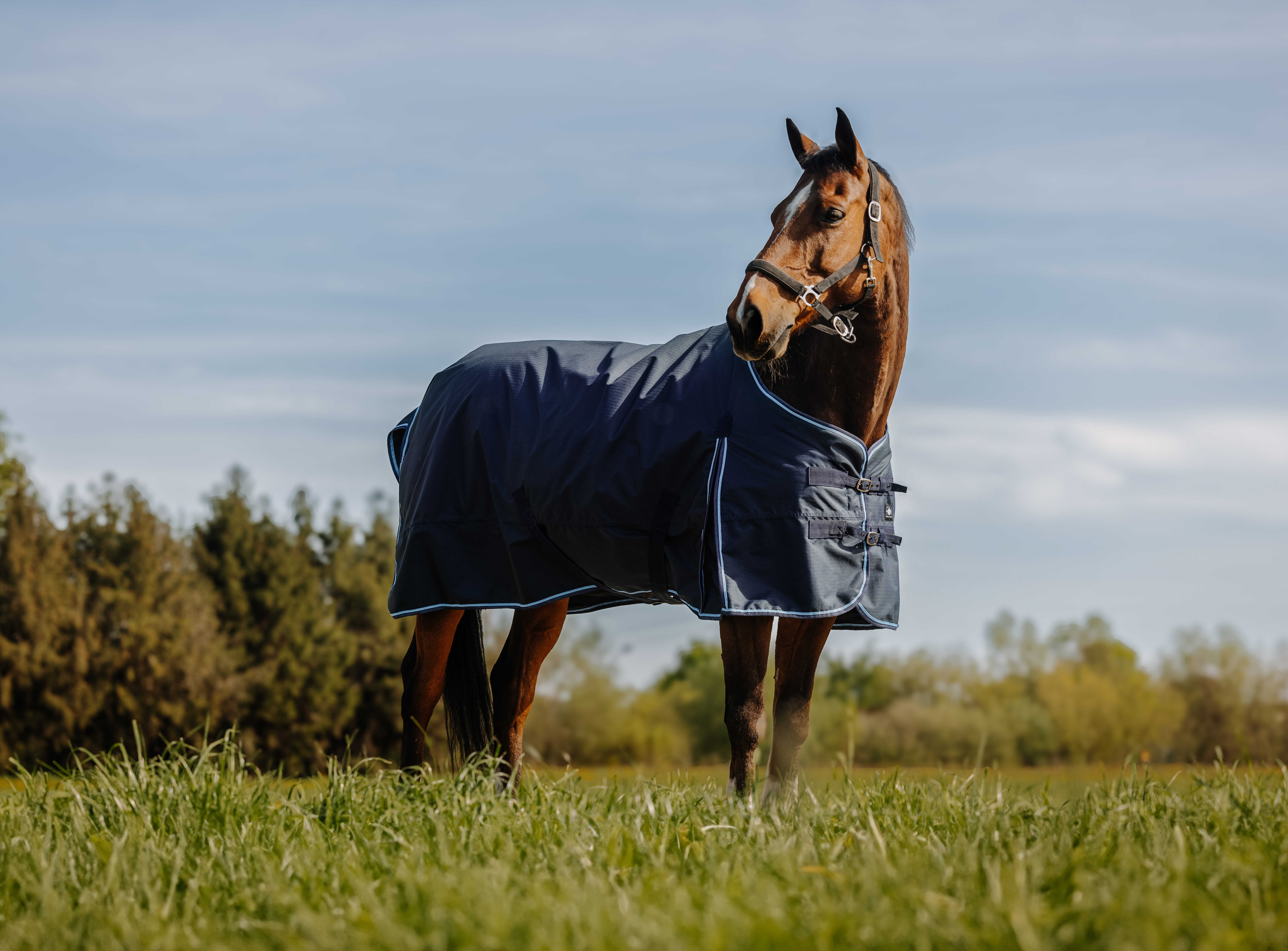 Dekken 600D Riding World Eco Marinho Dekken 600D Riding World Eco Marinho