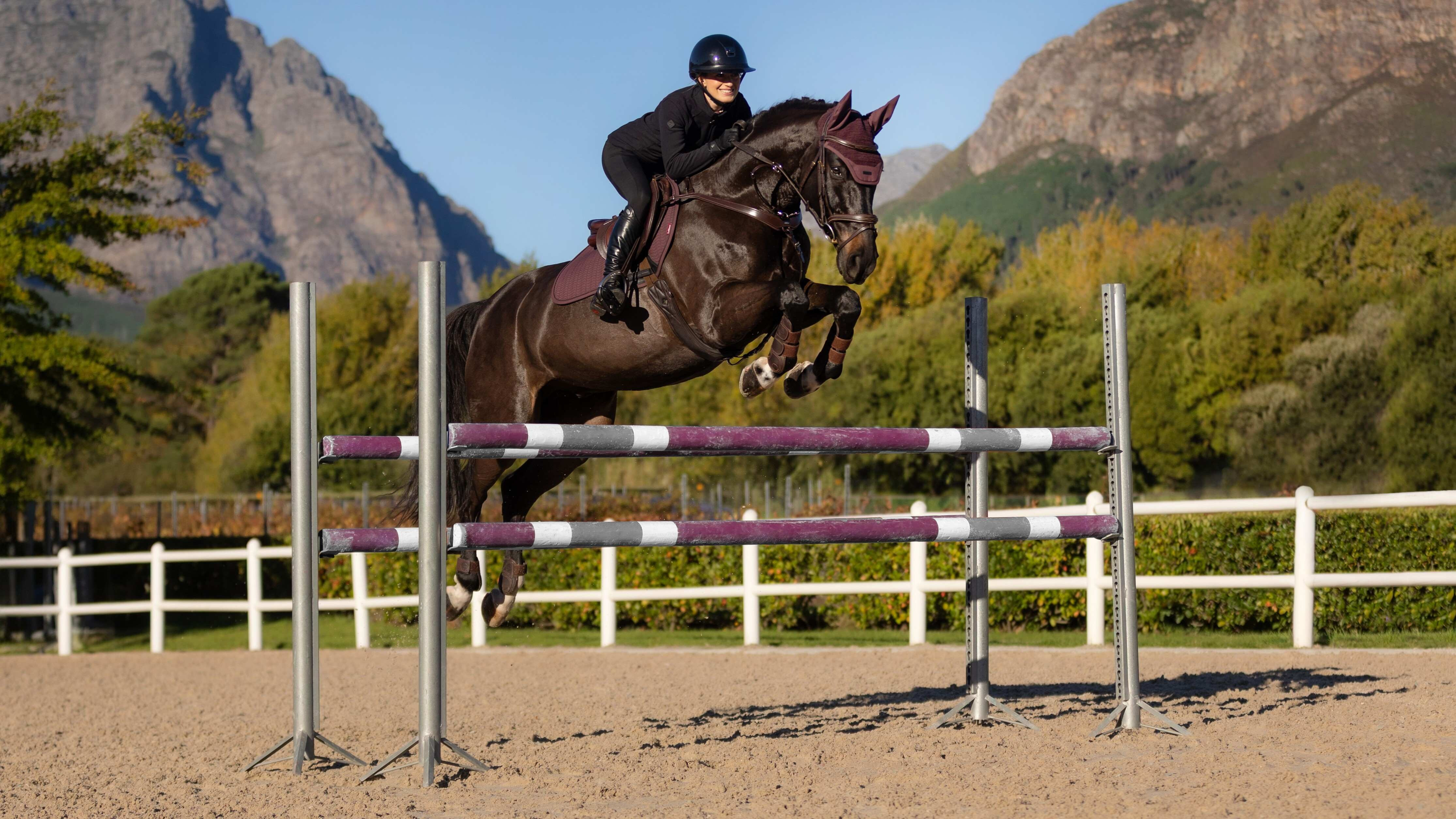 Tapis Eurojump LeMieux Essence Square Ameixa escura Violeta Tapis Eurojump LeMieux Essence Square Ameixa escura Violeta