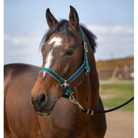 Caveção Equithème Nylon light