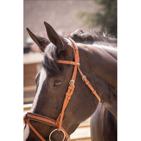 Bridão Pénélope Elegância