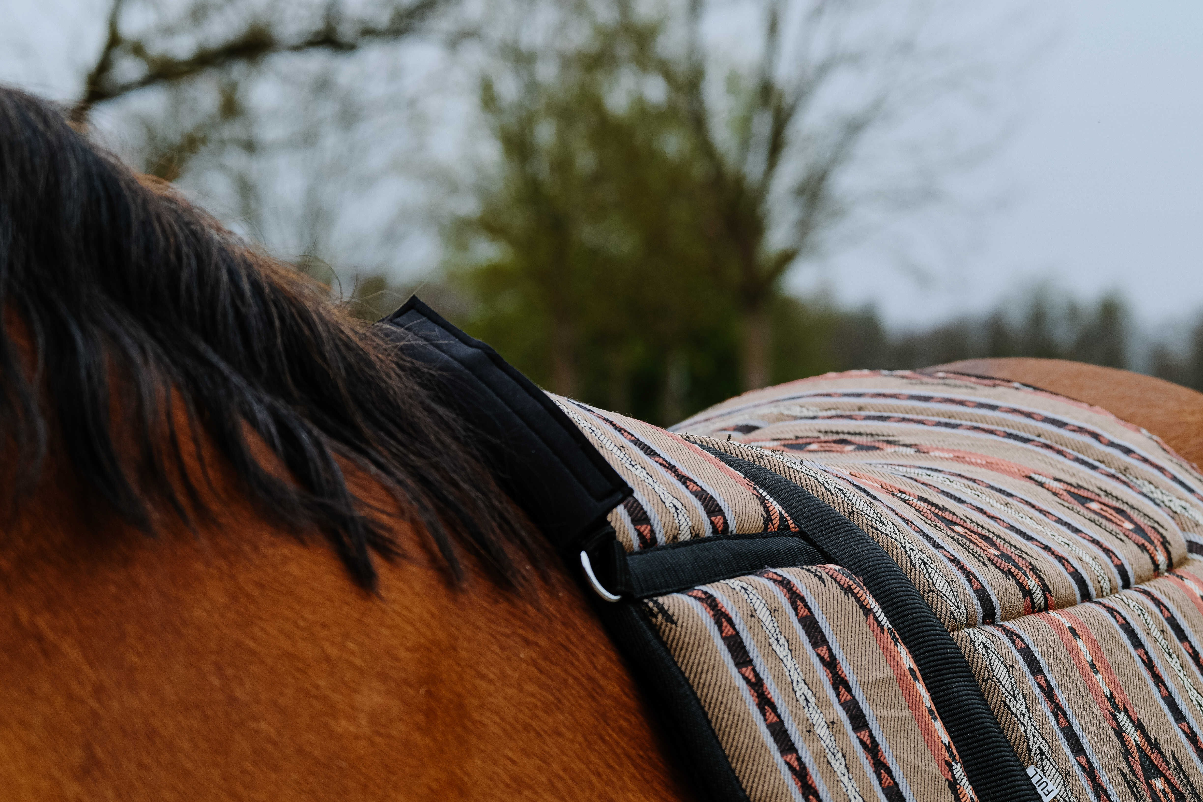 Almofada de montar sem sela Norton Kiowa