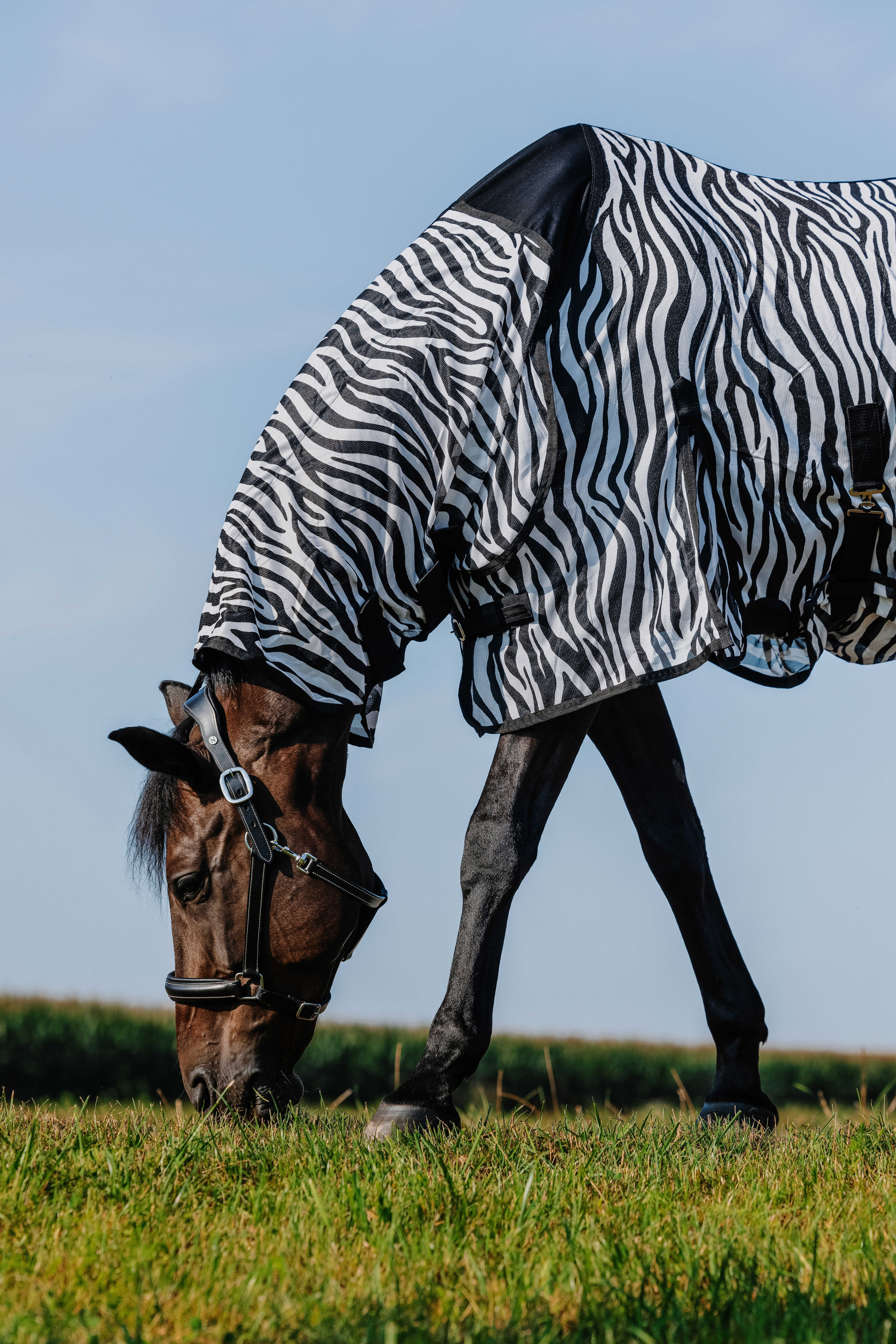 Camisa Riding World Belly Mesh Combo Preto / branco padrão zebra Motivos