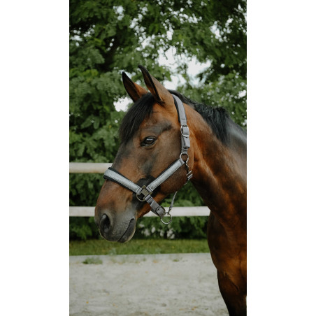 Cabridão Equithème Glowy