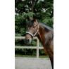 Cabridão Equithème Glowy - Cinza / prata