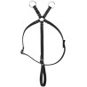 Mini-martingale Pony Academy - Preto