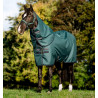 Capa Amigo Ripstop Horseware 900D Plus Turnout 100g - Dinastia verde / marinho / prateado