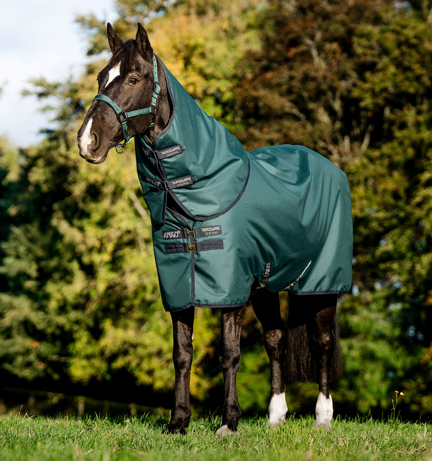 Capa Horseware Amigo Ripstop 900D Plus Pônei Turnout 0g Preto / azul clássico Capa Horseware Amigo Ripstop 900D Plus Pônei Turnout 0g Preto / azul clássico
