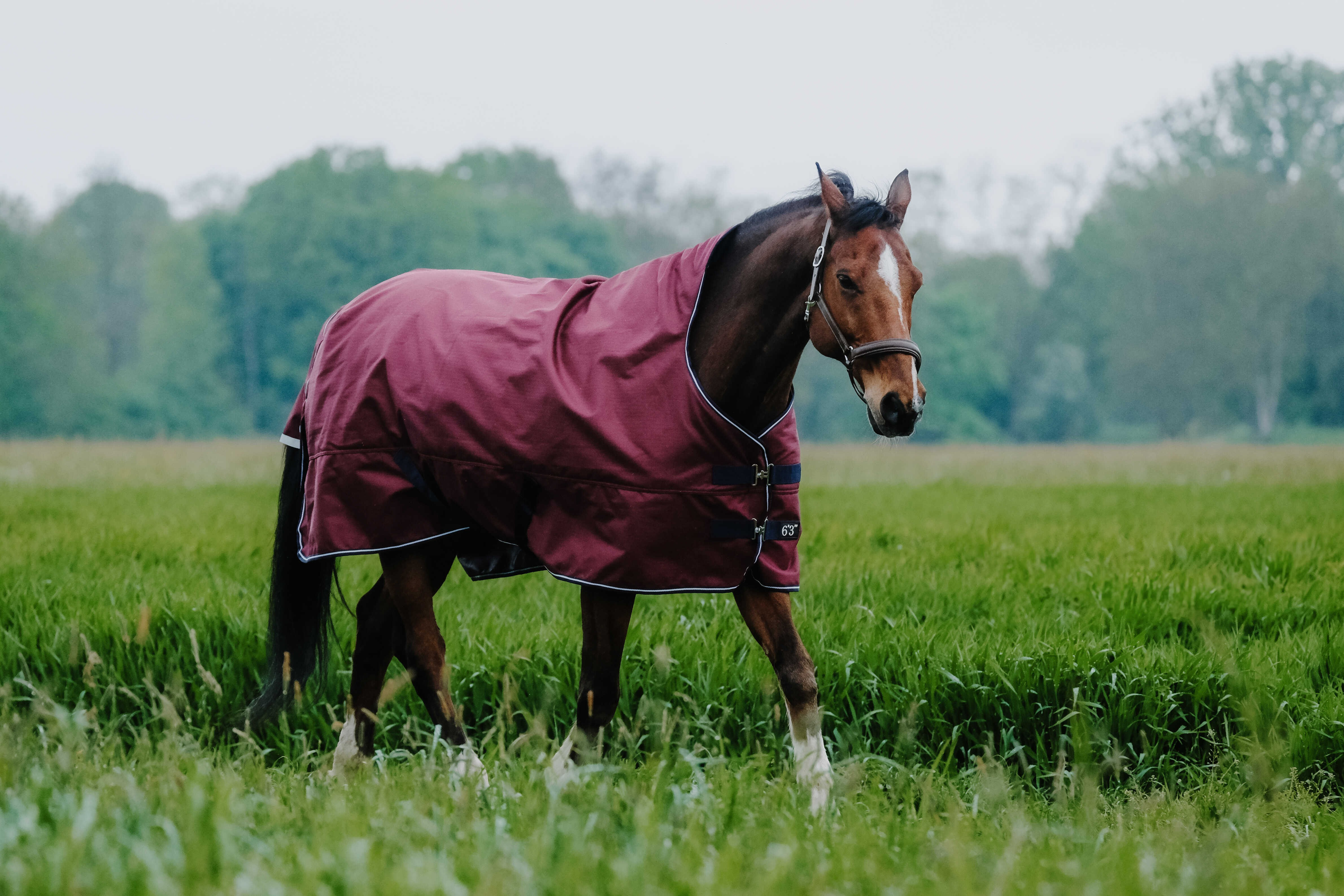 Cobertura Equithème TYREX 1200D High Neck Bordéus Bordô Cobertura Equithème TYREX 1200D High Neck Bordéus Bordô