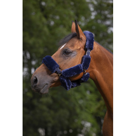 Conjunto para cabresto Equithème Teddy