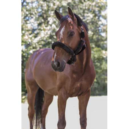 Cabeçada Norton com forro completo de lã sintética