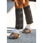 Guêteres terapêuticas Arma Shires