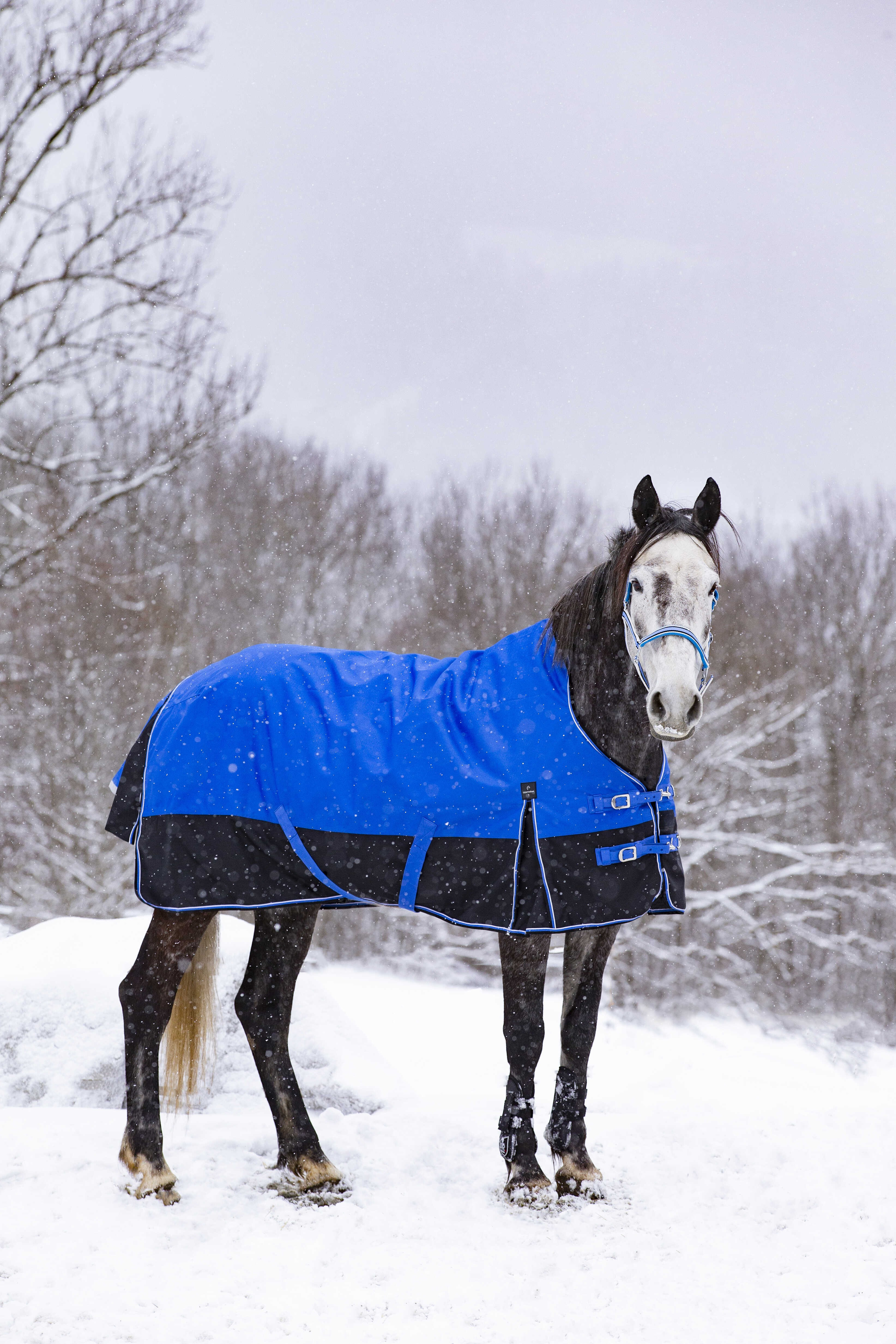 Cobertura Equithème Tyrex Aisance 1200D Pescoço Alto Azul royal