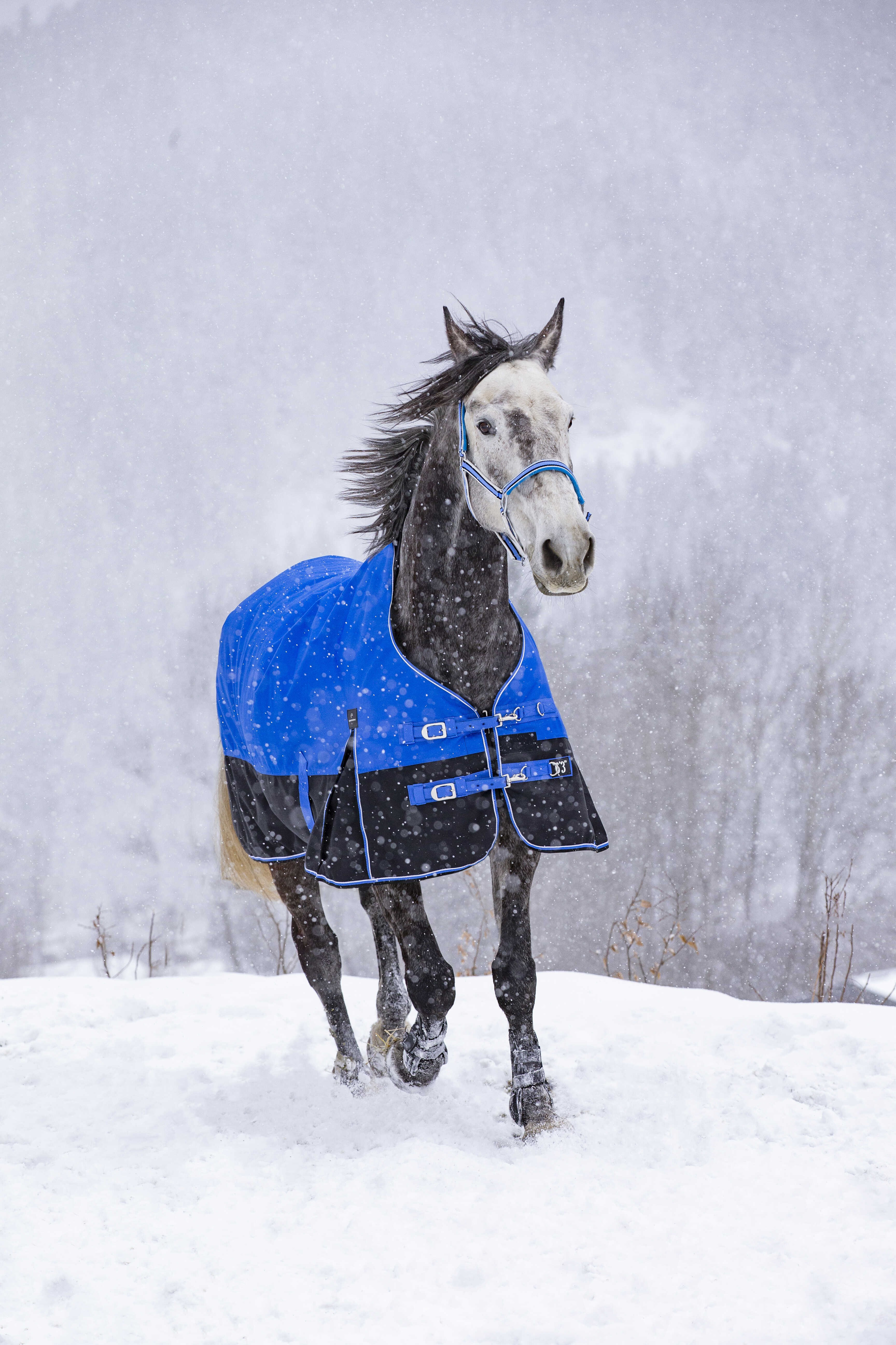 Cobertura Equithème Tyrex Aisance 1200D Pescoço Alto Azul royal