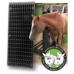 Raspador equino Shires