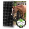 Raspador equino Shires - Preto