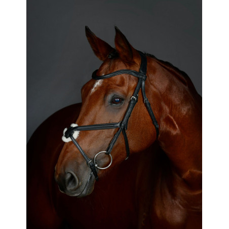 Bridão com muserola cruzada Collegiate ComFiTec Opulux acolchoado