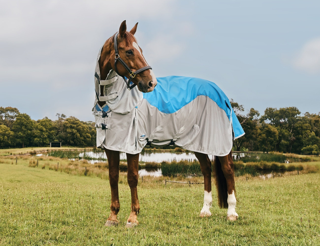 Capa anti-moscas e impermeável Weatherbeeta ComFiTec Dual Shield com pescoço destacável Azul / cinza