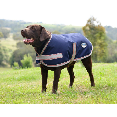 Capa para cão Weatherbeeta ComFiTec Essential