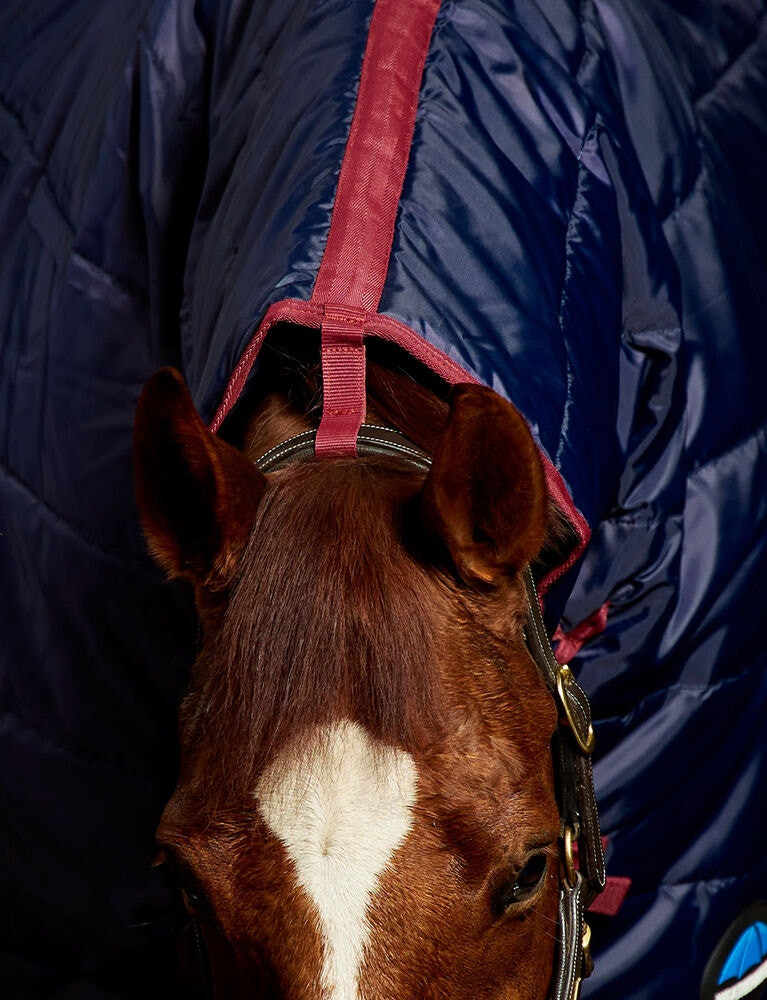 Cobertura de estábulo Weatherbeeta ComFiTec 210D Channel 100g combo Azul-marinho/bordô