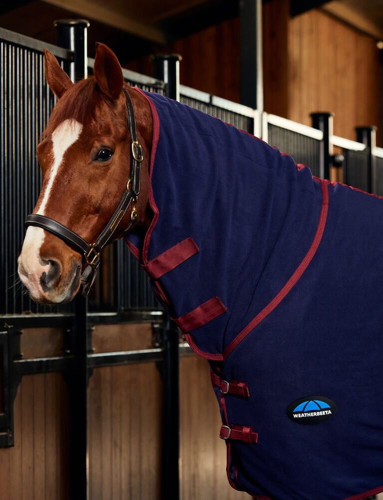 Manta secante Weatherbeeta ant estática em polar combo Azul-marinho/bordô Manta secante Weatherbeeta ant estática em polar combo Azul-marinho/bordô