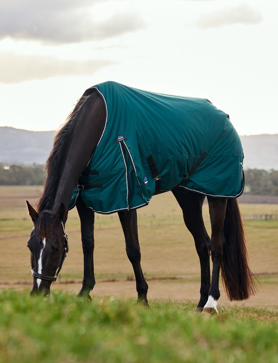 Manta Weatherbeeta ComFiTec Classic Turnout 50g Verde floresta / preto