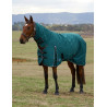 Manta Weatherbeeta ComFiTec Classic Turnout combo 360g - Verde floresta / preto