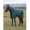 Manta Weatherbeeta ComFiTec Classic Turnout combo 50g - Verde floresta / preto