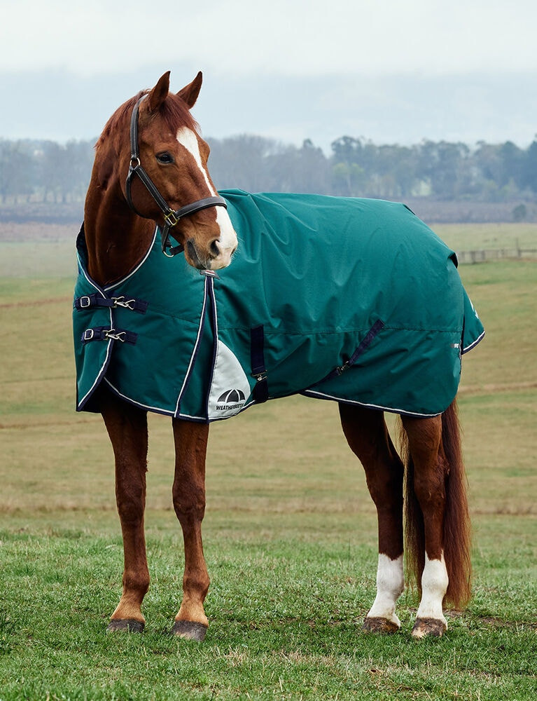 Cobertor Weatherbeeta ComFiTec Plus Dynamic Turnout 220g pescoço alto Verde floresta / azul-marinho