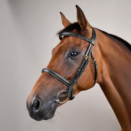 Bridão com muserola entrançada sem barbela Dy'on