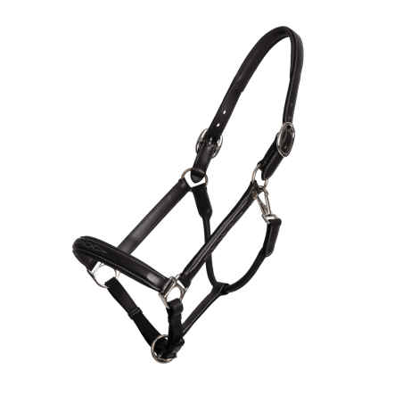 Cabeçada Fancy Dy'on