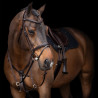Martingale HV Polo Legacy - Marrom chocolate