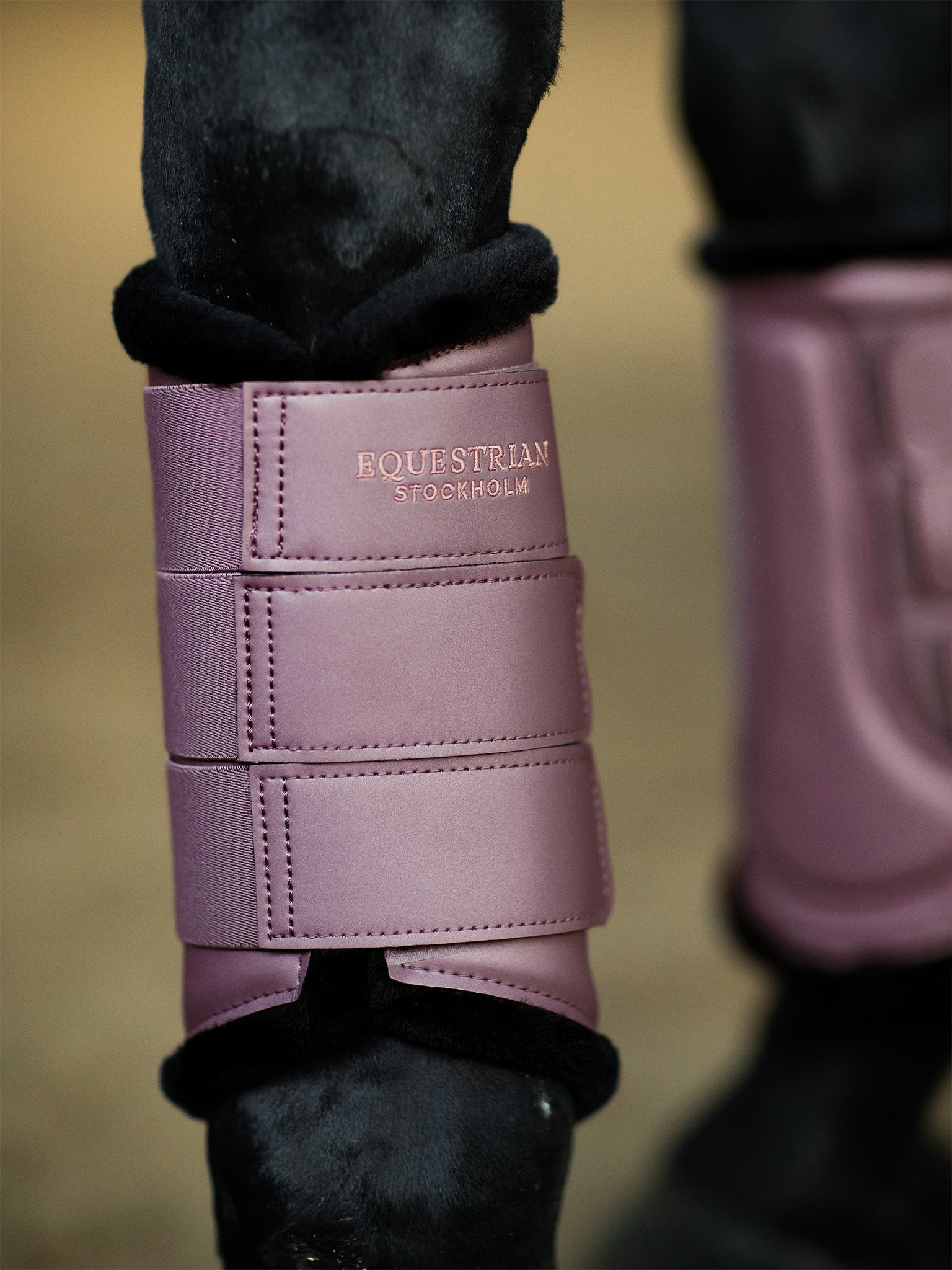 Guetes de dressage Equestrian Stockholm Amaranto Castanho