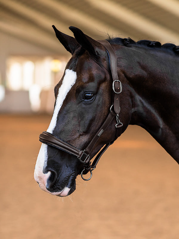 Cabolça de couro Equestrian Stockholm anatómica brilhante Castanho integral