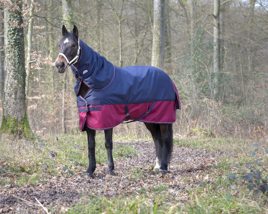 Cobre-pescoço Equithème Tyrex 1200 D 0g Azul / preto