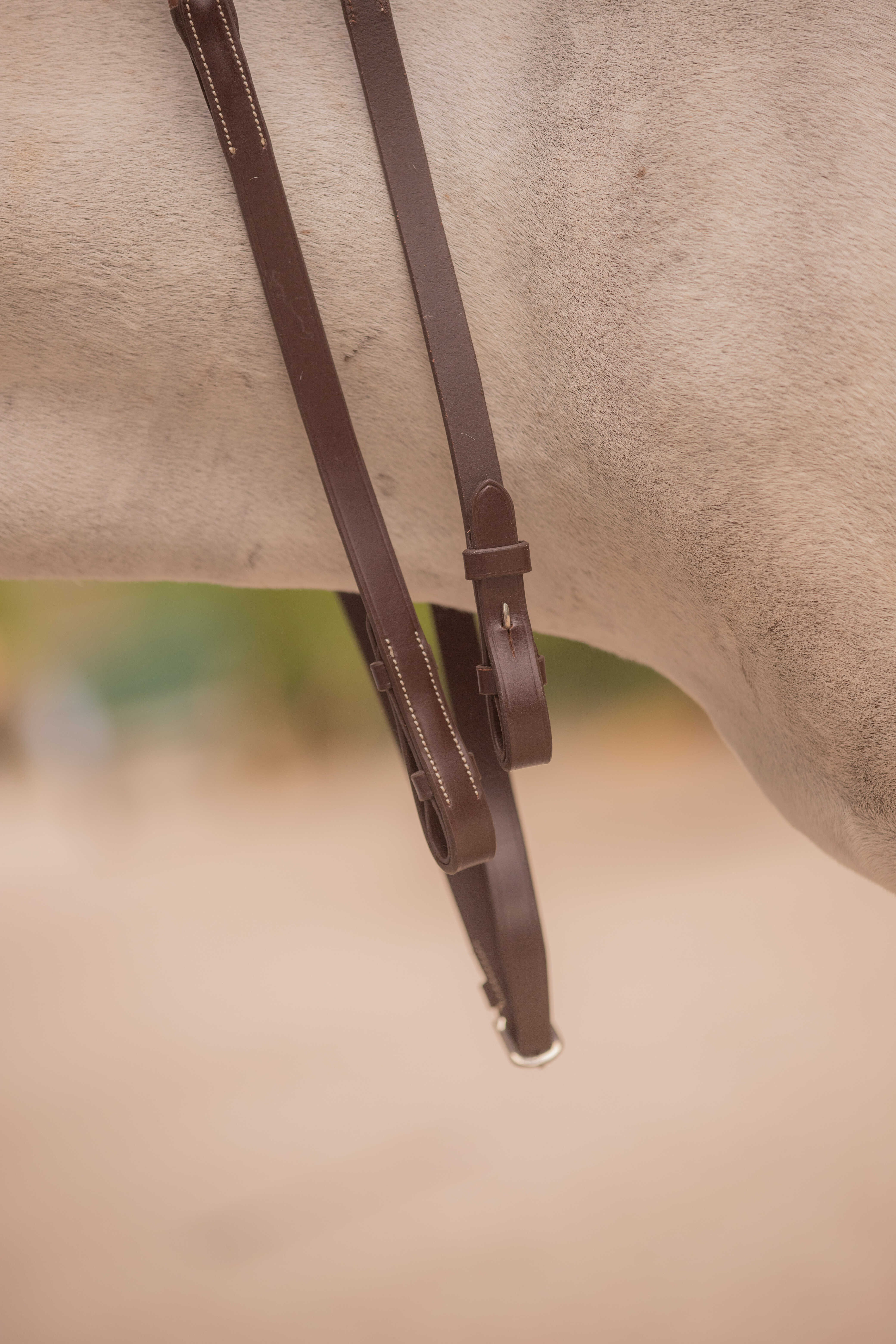 Renas Eden Pénélope Havana Castanho