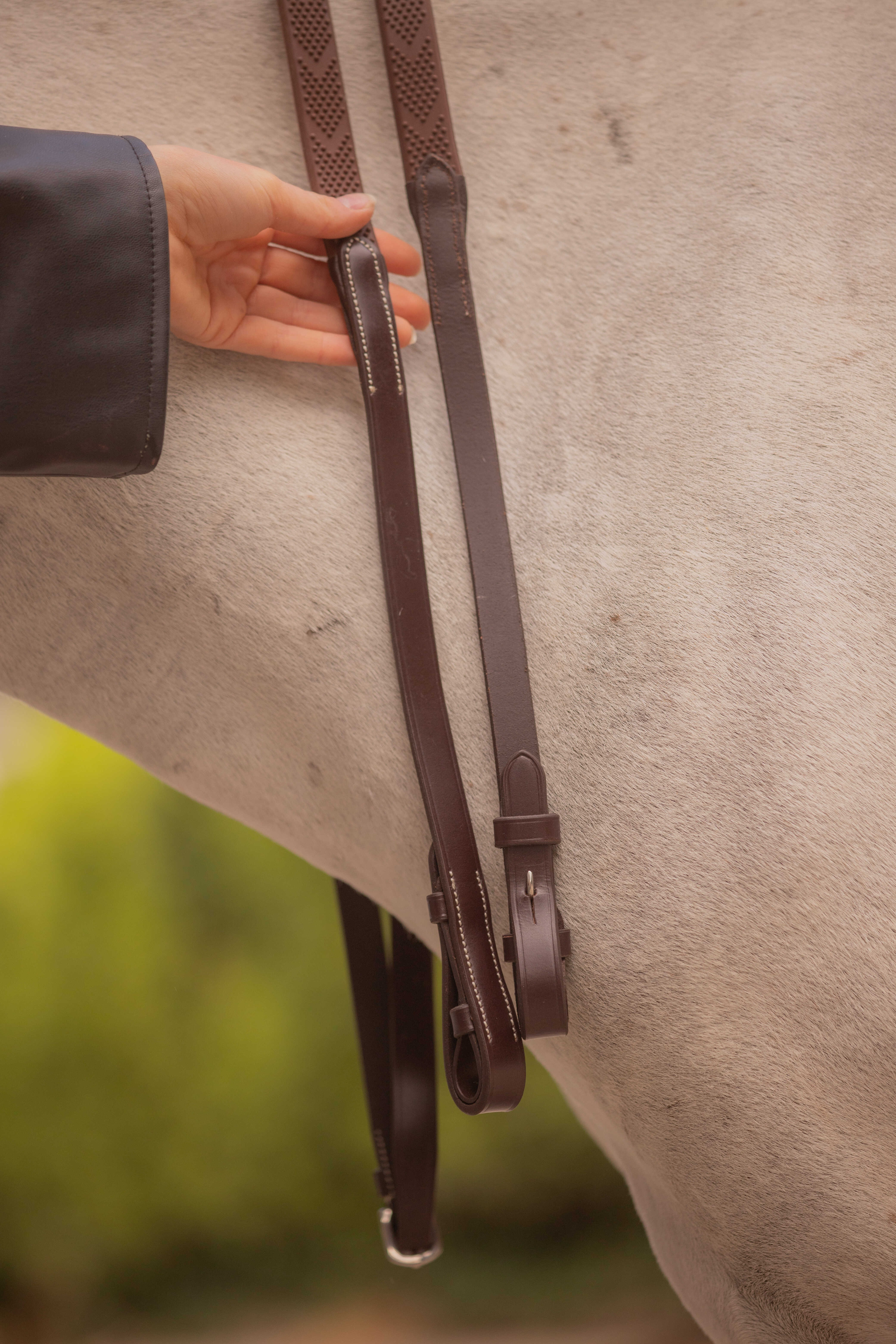 Renas Eden Pénélope Havana Castanho