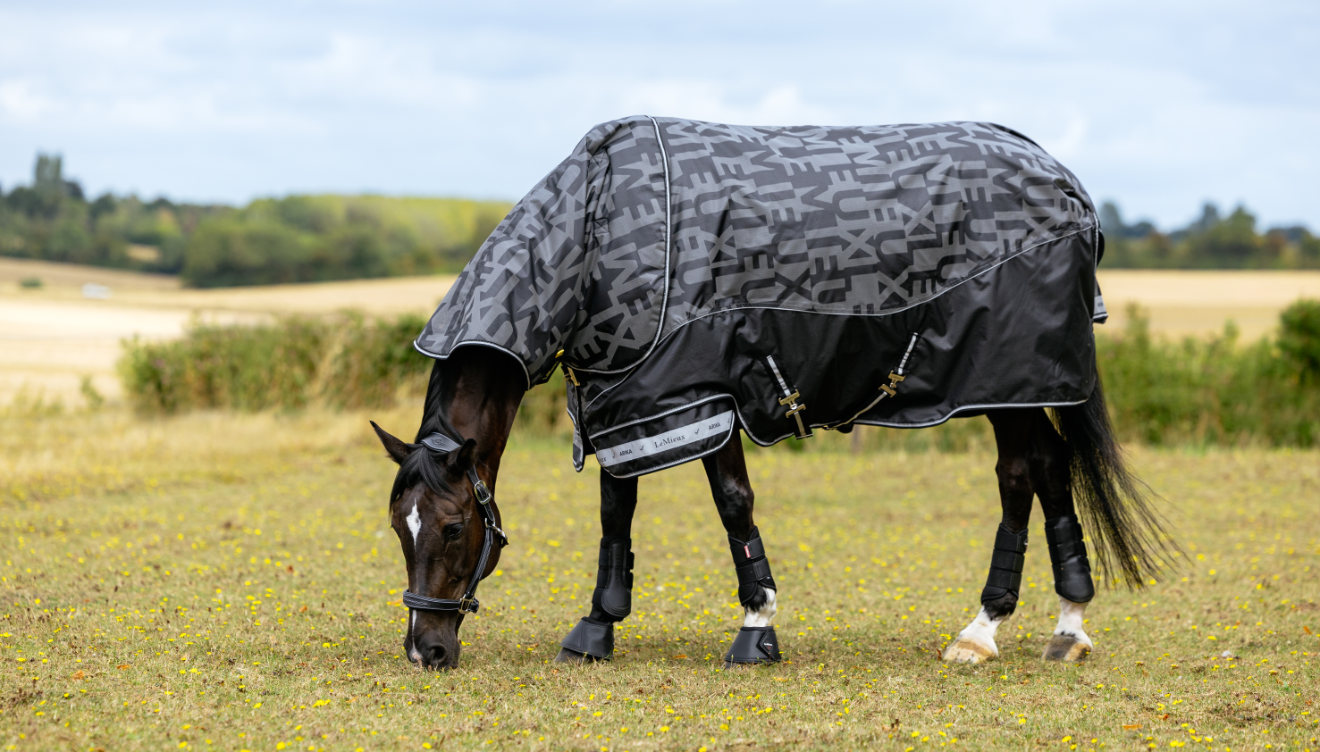 Arreio exterior refletivo LeMieux 100 g Arika Preto