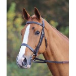 Bridão Aviemore Shires