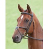 Bridon Brackley Salisbury Shires - Preto
