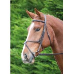 Bridão mexicano Aviemore Shires