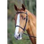 Bridão com muserola francesa Aviemore Shires