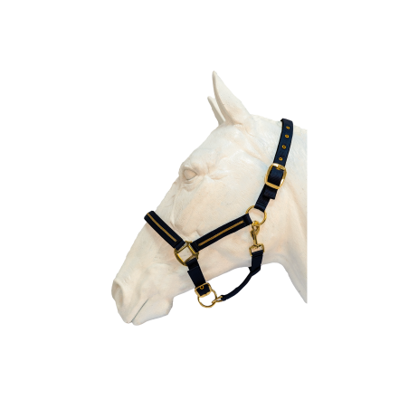 Conjunto de cabresto e corda Flags & Cup Nossy