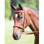 Cavesson muserola francesa Avignon Shires