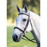 Cavesson muserola francesa Avignon Shires - Preto