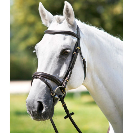 Bridão Tattini com muserola combinada acolchoada