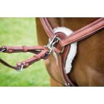 Peitoral de 5 pontos Avignon Shires