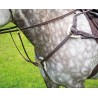 Peitoral de 5 pontos Salisbury Shires - Havana