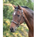 Bridão com pespontos Fancy Blenheim Shires