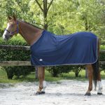 Camisa Equithème Microfleece Standard