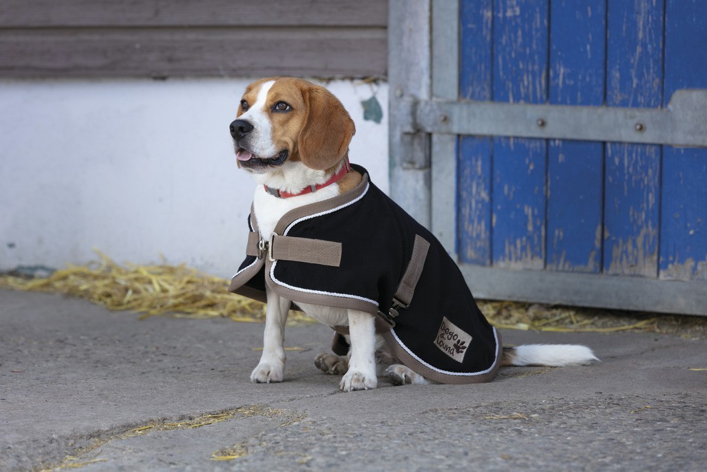 Cobertor para cão Diego & Louna Polyfun Preto / taupe